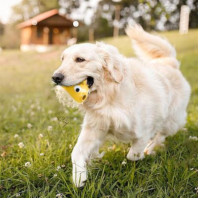 FurryFusion Jouet pour rongeurs pour chien