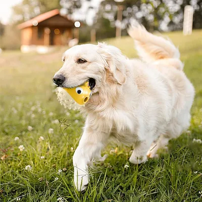 FurryFusion Jouet pour rongeurs pour chien