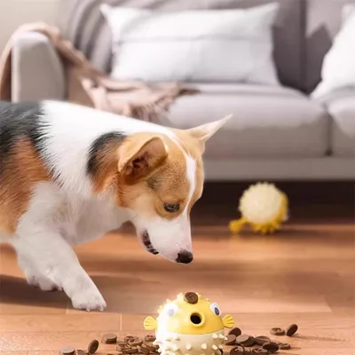 FurryFusion Jouet pour rongeurs pour chien