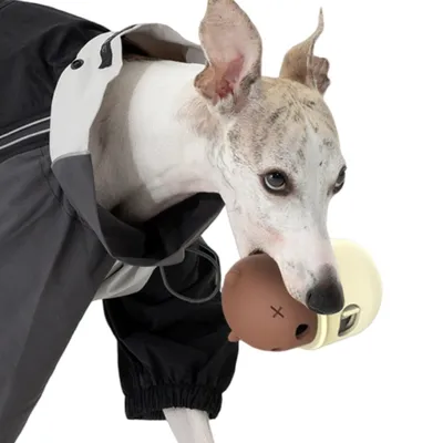 FurryFusion Jouet pour chien en forme de tasse qui fuit