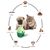 FurryFusion Jouet interactif pour chien