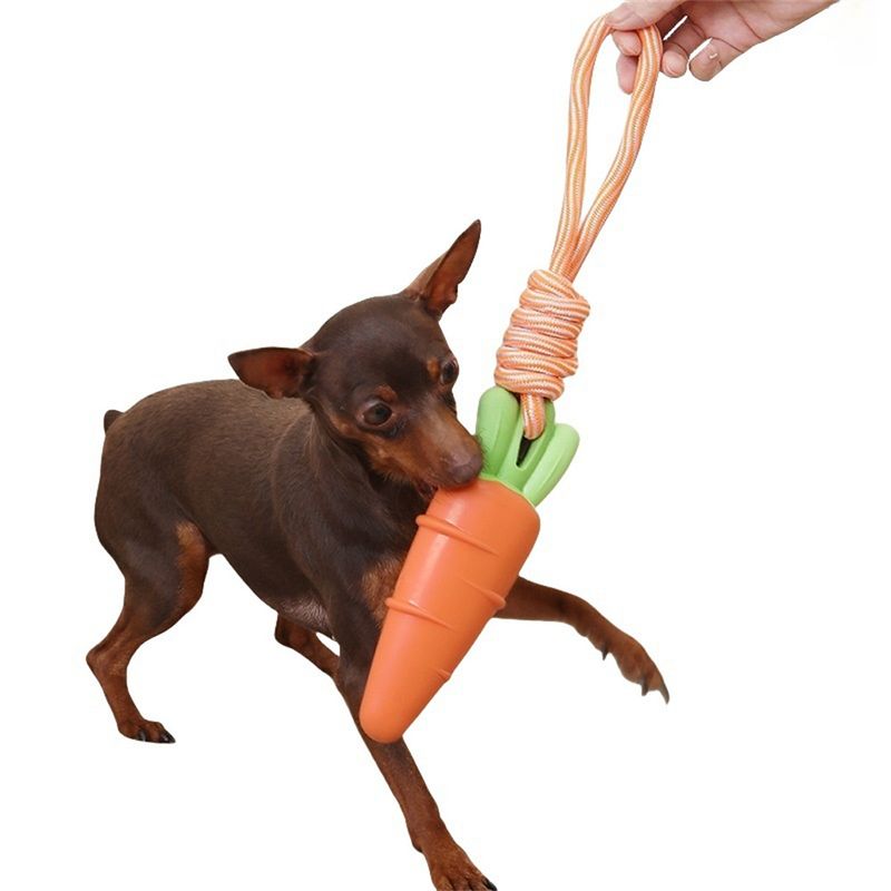 FurryFusion - Jouet Sonore en Forme de Légumes pour Chiens