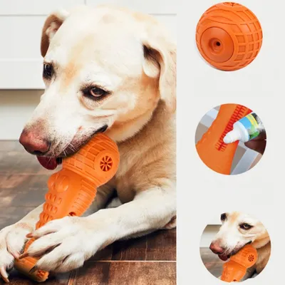 FurryFusion Jouet de dentition pour chien
