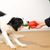 FurryFusion Jouet à mâcher en forme de poisson pour chien