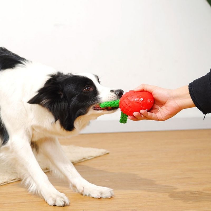 FurryFusion Jouet à mâcher en forme de poisson pour chien