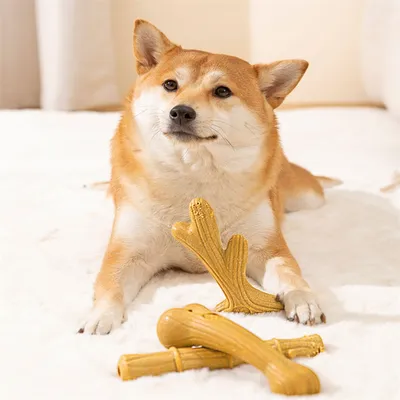 FurryFusion Jouet à Mâcher en Bois de Cerf pour Chien