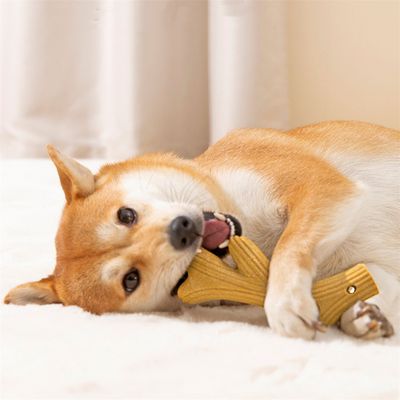 FurryFusion Jouet à Mâcher en Bois de Cerf pour Chien