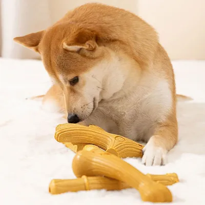 FurryFusion Jouet à Mâcher en Bois de Cerf pour Chien