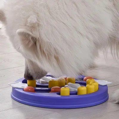 FurryFusion Gamelles pour chiens et chats