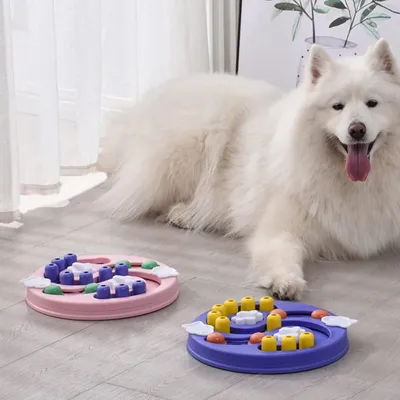 FurryFusion Gamelles pour chiens et chats