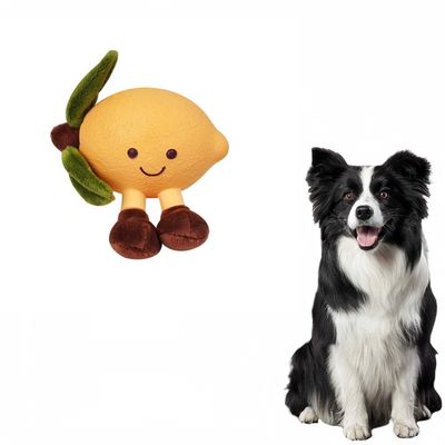 FurryFusion Jouet à mâcher en forme de fruit pour chien