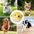 FurryFusion Jouet pour rongeurs pour chien