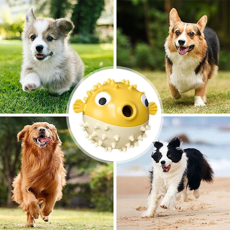 FurryFusion Jouet pour rongeurs pour chien