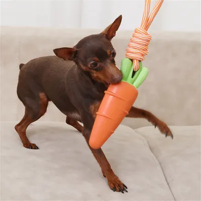 FurryFusion - Jouet Sonore en Forme de Légumes pour Chiens
