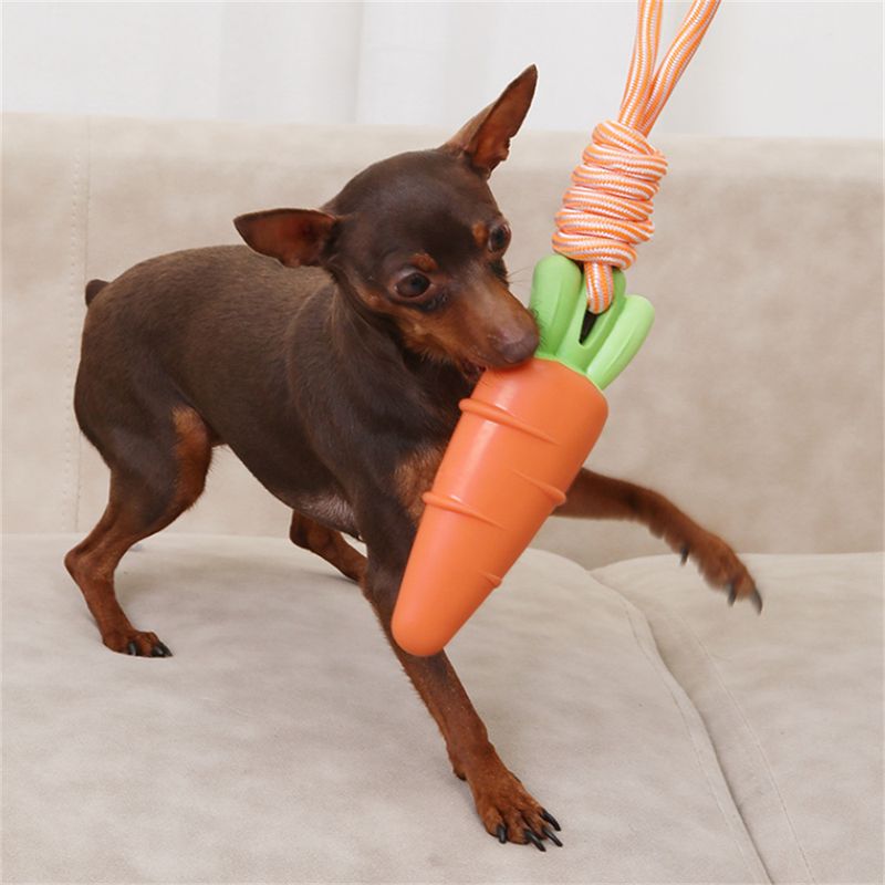 FurryFusion - Jouet Sonore en Forme de Légumes pour Chiens