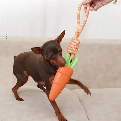 FurryFusion - Jouet Sonore en Forme de Légumes pour Chiens