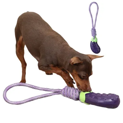 FurryFusion - Jouet Sonore en Forme de Légumes pour Chiens FurryFusion - Jouet Sonore en Forme de Légumes pour Chiens