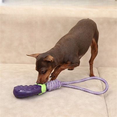 FurryFusion - Jouet Sonore en Forme de Légumes pour Chiens