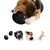 FurryFusion Jouet pour chien en forme d'œuf de dinosaure