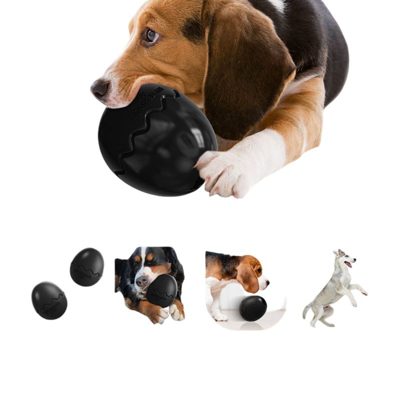 FurryFusion Jouet pour chien en forme d'œuf de dinosaure