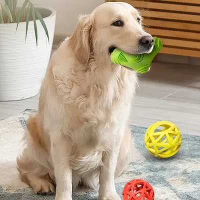 FurryFusionJouet à Mastication pour Chien