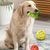 FurryFusionJouet à Mastication pour Chien