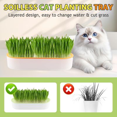 FurryFusion Lot de 2 Jardinières d'herbe à Chat, Hydroponique