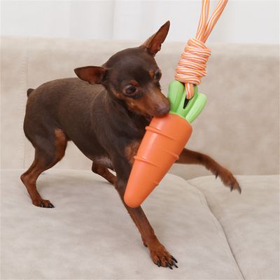 FurryFusion - Jouet Sonore en Forme de Légumes pour Chiens