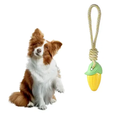 FurryFusion - Jouet Sonore en Forme de Légumes pour Chiens