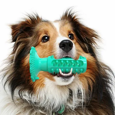 FurryFusion Jouets à mâcher pour chiens