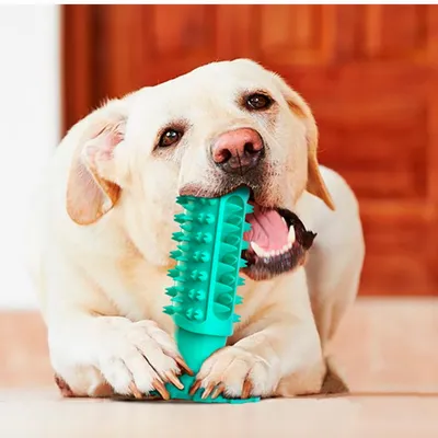 FurryFusion Jouets à mâcher pour chiens