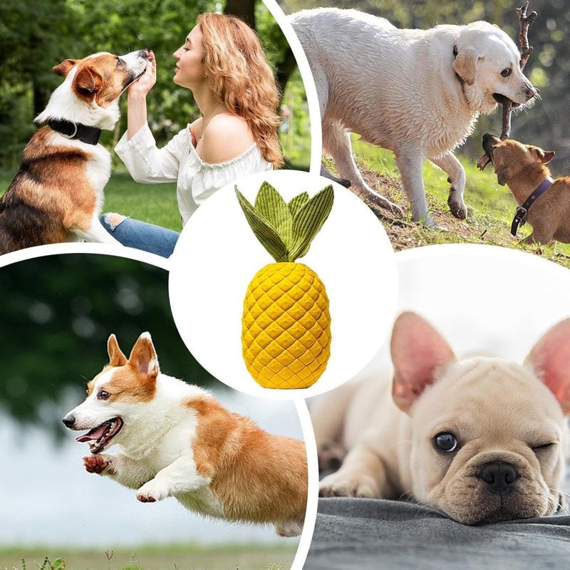 FurryFusion Jouet en caoutchouc ananas pour chien