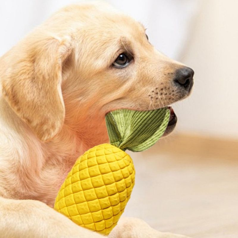 FurryFusion Jouet en caoutchouc ananas pour chien
