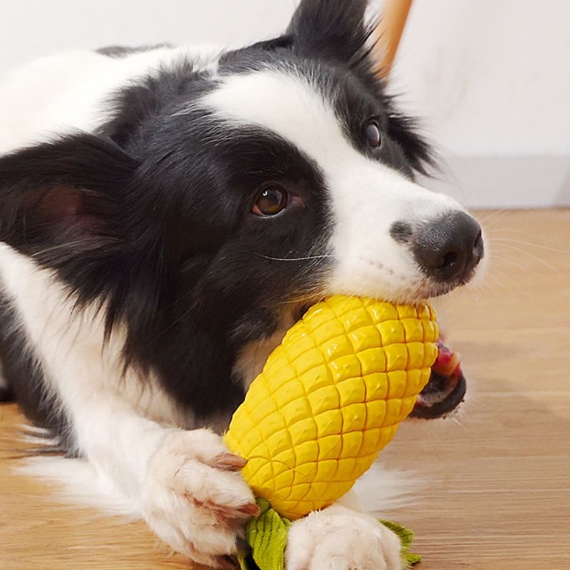 FurryFusion Jouet en caoutchouc ananas pour chien