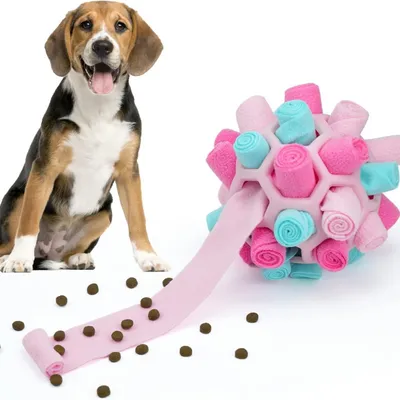 FurryFusion Balle à renifler pour chien
