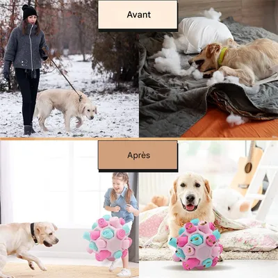 FurryFusion Balle à renifler pour chien