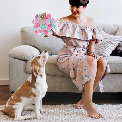 FurryFusion Balle à renifler pour chien