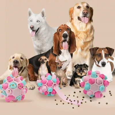 FurryFusion Balle à renifler pour chien