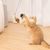 FurryFusion Chat Teaser Toy - Avec Cloche