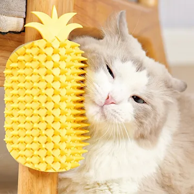 FurryFusion Brosse de toilettage pour chat