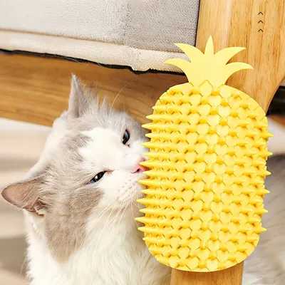 FurryFusion Brosse de toilettage pour chat