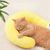 FurryFusion Oreillers pour chats et chiens