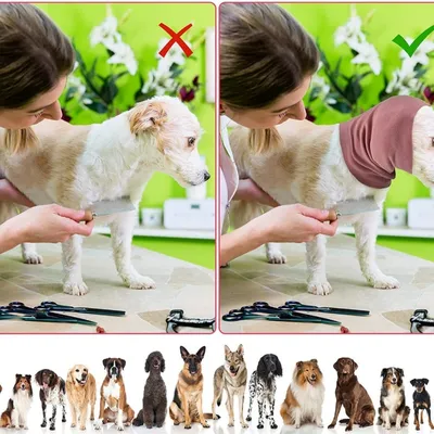 FurryFusion Bonnet apaisant pour animaux