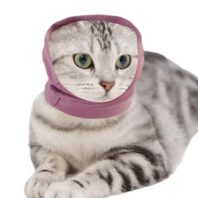 FurryFusion Gorro relajante para mascotas