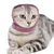 FurryFusion Bonnet apaisant pour animaux
