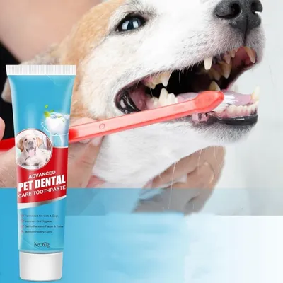 FurryFusion Pasta de dientes para perros para refrescar su aliento