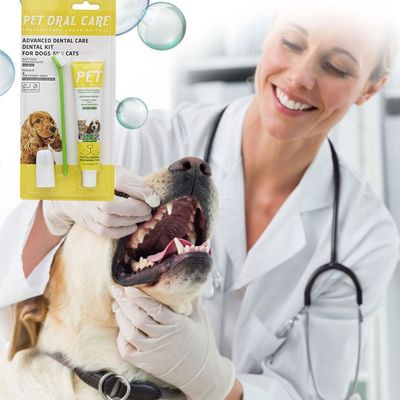 FurryFusion Kit de cuidado dental para perros