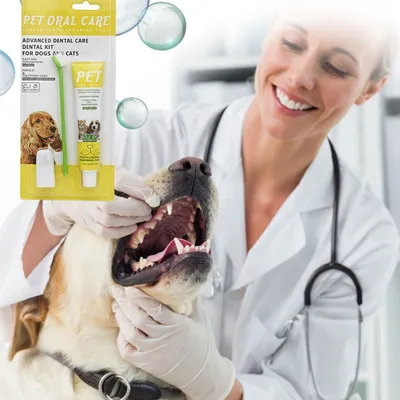 FurryFusion Kit de cuidado dental para perros
