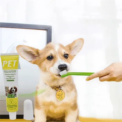 FurryFusion Kit de soin dentaire pour chien