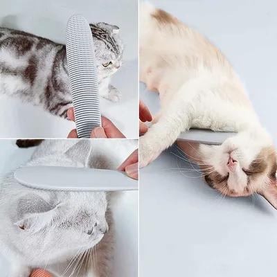 FurryFusion  Peigne de nettoyage buccal pour chat